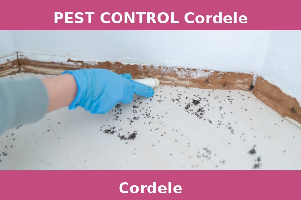 PEST CONTROL Cordele